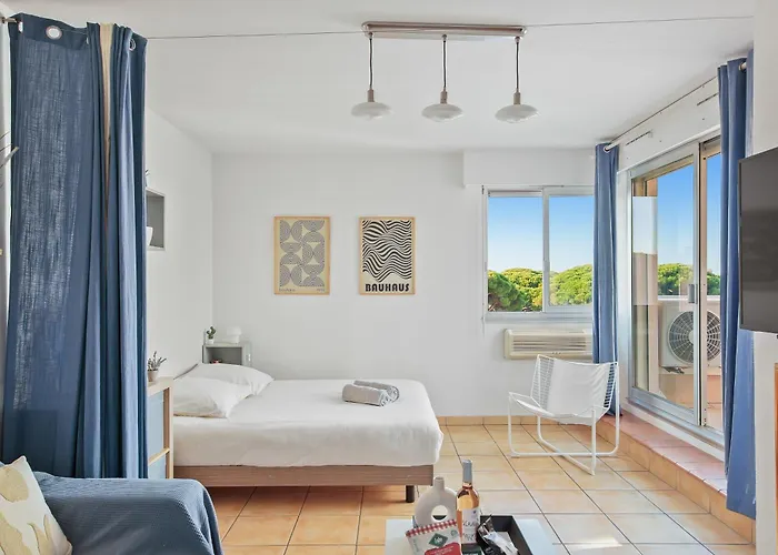 Piscine & Soleil A - T3 Spacieux Avec Clim & Exterieurs *